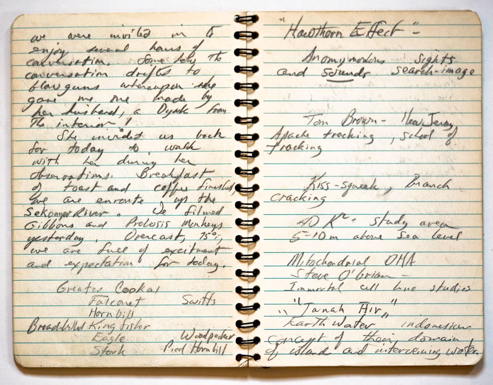 LR-Scan old dad stuff_32